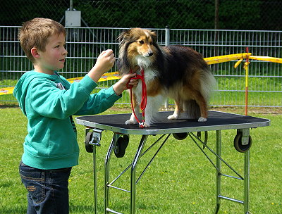 Kenny und Willow bei Kind und Hund