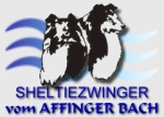 Shelties vom Affinger Bach - Home -