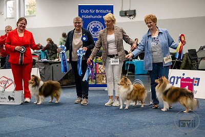 Die Sieger auf der Bundessieger-Ausstellung in Dortmund 2025