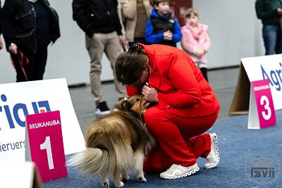Bundessieger-Ausstellung Dortmund 2025