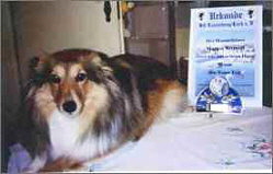 Sporthund Desdemona vom Affinger Bach