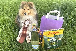 Sporthund Ludwig vom Affinger Bach