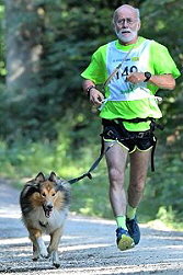 Sporthund Stannis vom Affinger Bach