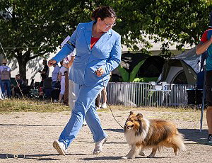 Bailey auf der CACIB Hallbergmoos II 2025