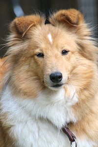 Filippa Fabelhaft vom Affinger Bach