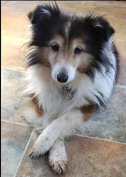 In Erinnerung an unsere Schniii