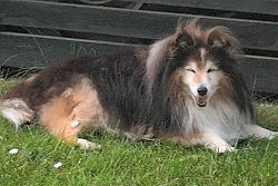 In Erinnerung an Berry