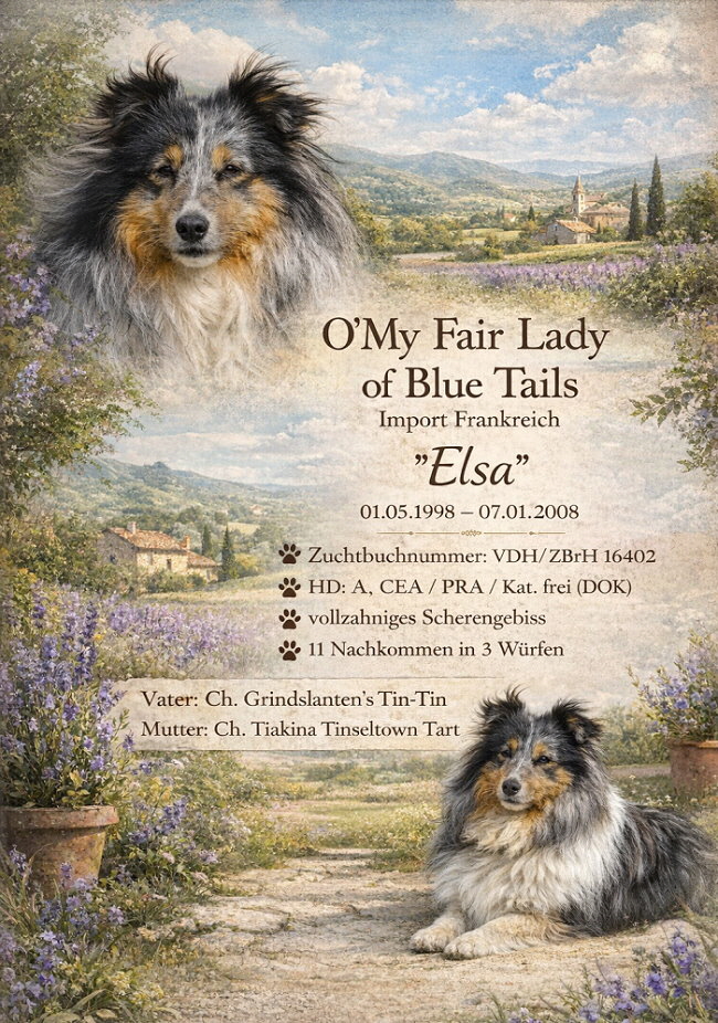 KI-Collage O�My Fair Lady of Blue Tails
