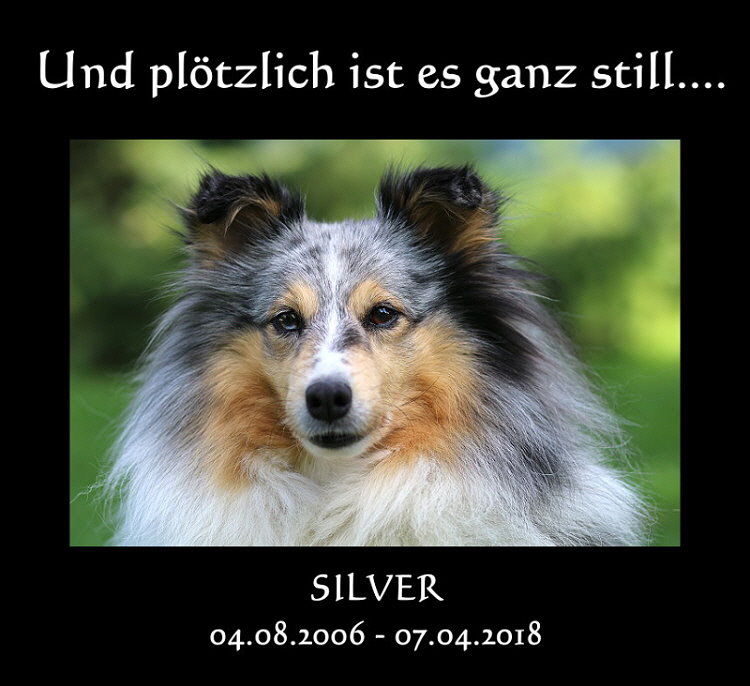 In Memoriam: Silver