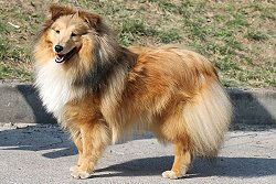 In Erinnerung an Twix