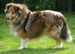 Ismene 4 Jahre alt im September 2009