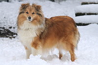 Hiphip Hurra vom Affinger Bach, 4 Jahre alt