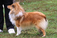 Hiphip Hurra vom Affinger Bach, 1 Jahr alt