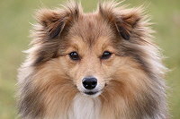 Hiphip Hurra vom Affinger Bach, 2 Jahre alt