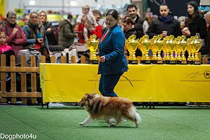 Rosie auf der CACIB Offenburg 2025