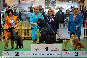 3. Platz der FCI-Gruppe 1 auf der CACIB Offenburg 2025