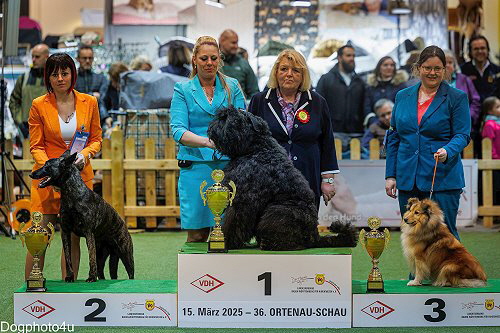 Podium der FCI-Gruppe 1 auf der CACIB Offenburg 2025