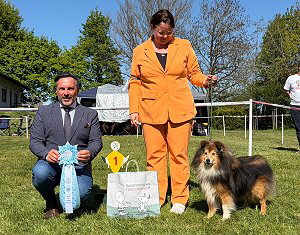 Best in Show Veteran auf der CAC Buchloe 2026