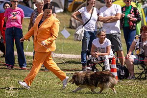 Toffifee vom Affinger Bach im Ehrenring auf der CACIB Hallbergmoos 2025