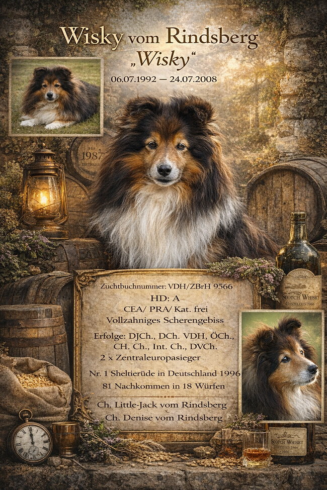 Ki-Collage von Wisky vom Rindsberg