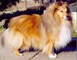 Vater: Bermarks Nota Bene