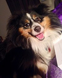 Penny im November 2014, 5 Jahre alt 