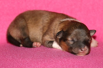 Hiphip Hurra vom Affinger Bach, 1 Tag alt