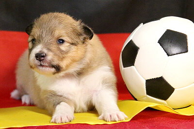 Panna Cotta vom Affinger Bach, 2 Wochen alt