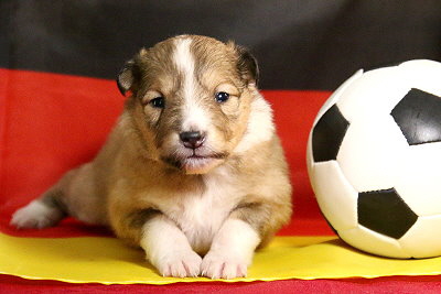 Pepsi Cola vom Affinger Bach, 2 Wochen alt