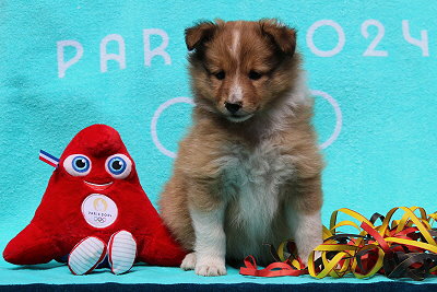 Pepsi Cola vom Affinger Bach, 6 Wochen alt