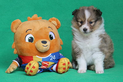 Pink Lady vom Affinger Bach, 4 Wochen alt