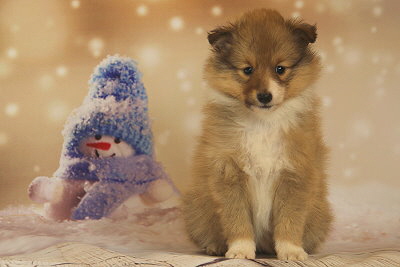 Quatrina vom Affinger Bach, 6 Wochen alt