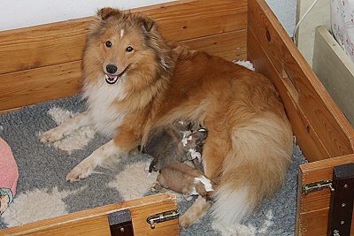 Stolze Mama Pippa kurz nach der Geburt