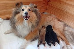 Stolze Mama Maya
