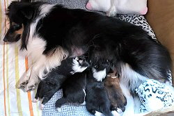 Stolze Mama Hennie