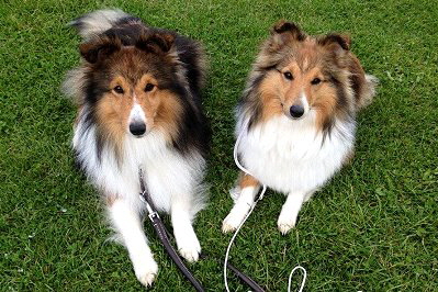 Die Eltern Louis und Haidee