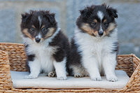 Charity of Life J-Wurf