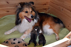 Thats True Magic M-Wurf, 1 Tag alt