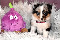 That�s True Magic New Fairytale Princess Tiana, 6 Wochen alt