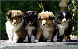 U-Wurf vom Affinger Bach