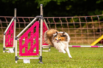 Jeremy Fatransky sen