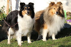 Die Eltern Helene und Lable