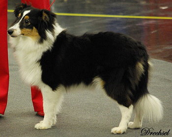 Aiko auf der CAC Nrnberg 2013