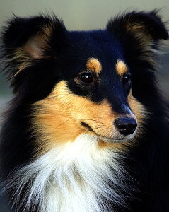 Amira, 10 Monate alt 