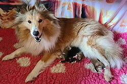 Frischgebackene Mama Nami mit ihrem M�dels-Trio