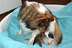 Stolze Mama Zoe mit ihrem Sohnemann